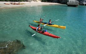 Kayaking and Paddleboarding on the Harbour