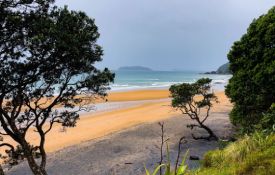 Sailors Grave and Otara Bay Walk